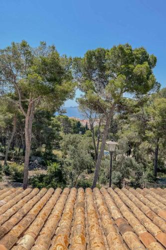 Bed & Breakfast Villa Dora (Only Adults)