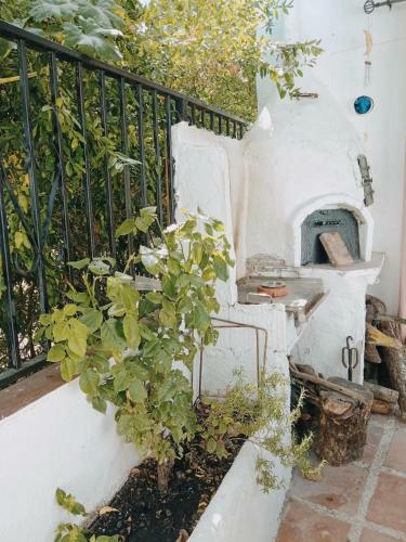 La Casita Verde Valle