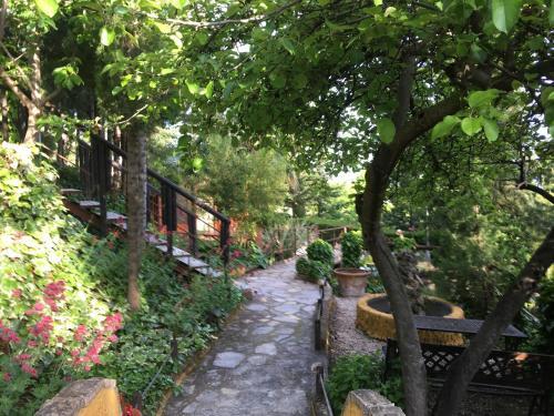 Agroturismo Caba�as de Madera Y Bungalows - Gilma�as 3