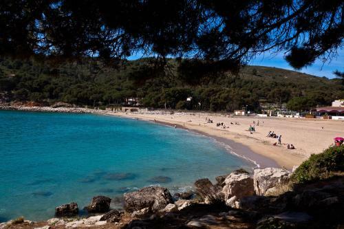 Apartamento Frente Al Mar-wifi Free