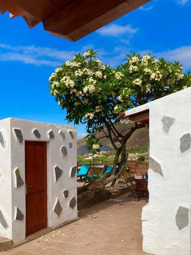 Rinc�n Del Mar , Espacio Natural