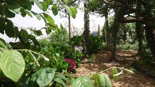 Agroturismo El Pajar de In�s