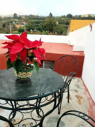 Vivienda Vacacional Ca Na Paula