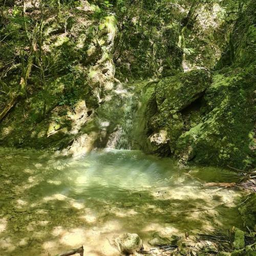 Precioso Apartamento En El Pirineo Catal�n