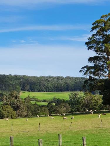 Agroturismo Cinnamon Coloureds Farm Cottages