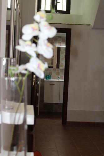 Apartamento Loft Pinope