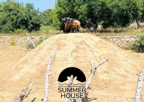 Apartamento Summer House Tarragona