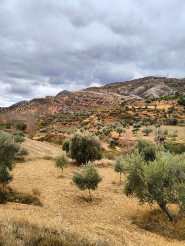 Apartamento Casa Rural Moliner