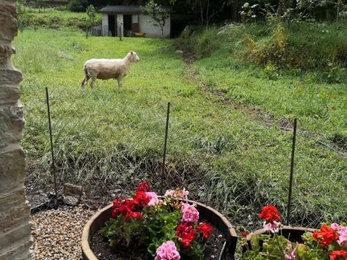 Agroturismo La Pandela