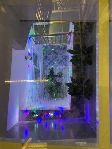 Hostal Rymy House