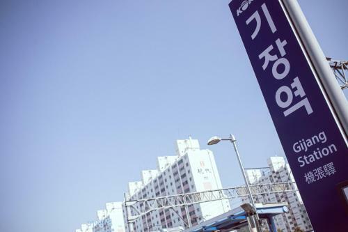 Hotel Kenny Gijang