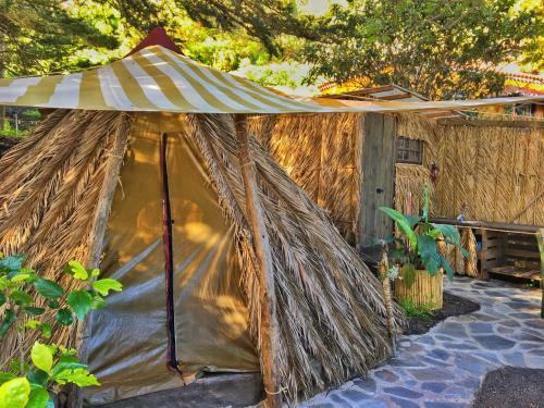 Studio Mazo The Glamping