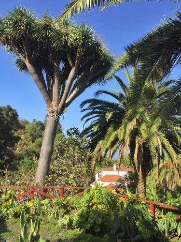 Studio Mazo The Glamping