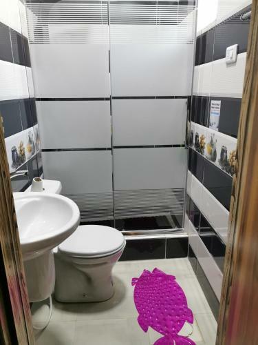 Apartamento Petra 555
