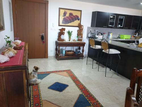 Nomad Tours Marina Beach Apartment