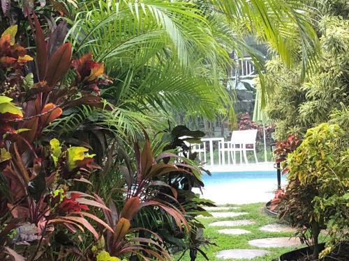 Great Apartment In Bridgetown Barbados Bargain