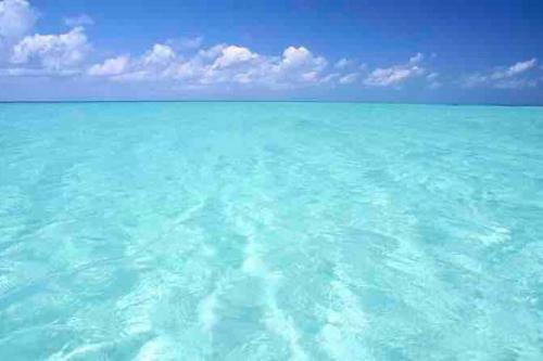 Oasis Paradise 2/2 @ Rw Hilton-2 Mins From Beach