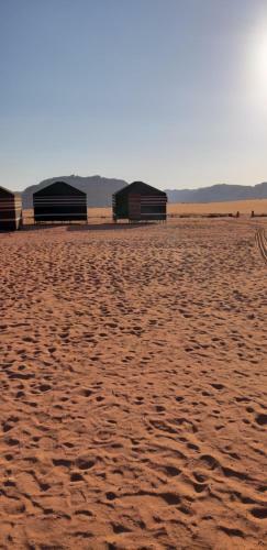 Hotel Bedouin Future Camp