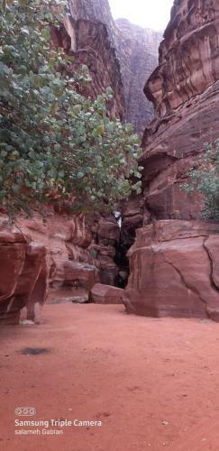 Hotel Bedouin Future Camp