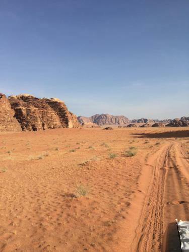 Florist Camp