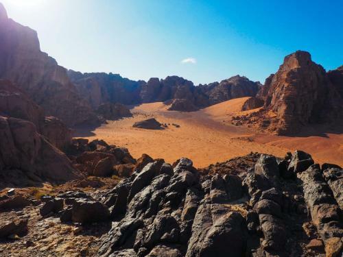Bedouin Host Camp& With Tour