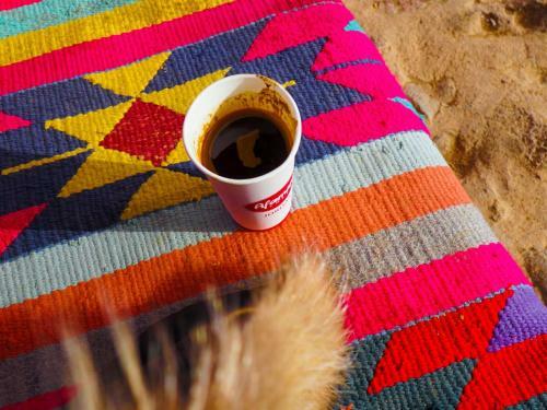 Bedouin Host Camp& With Tour