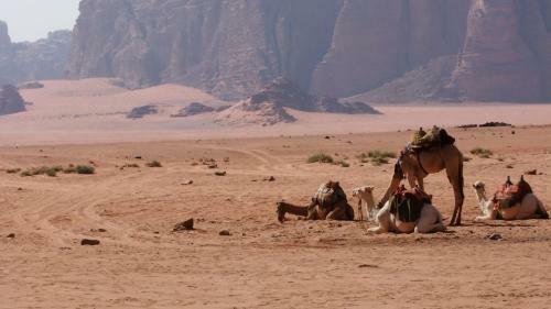 Bedouin Memories Camp