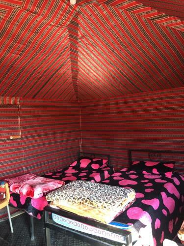 Desert Mars Camp & Tours