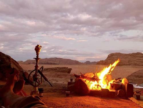 Desert Mars Camp & Tours