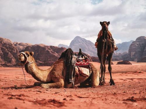 Desert Mars Camp & Tours