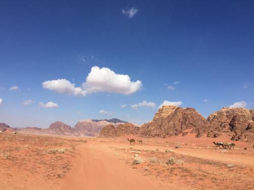 Desert Mars Camp & Tours