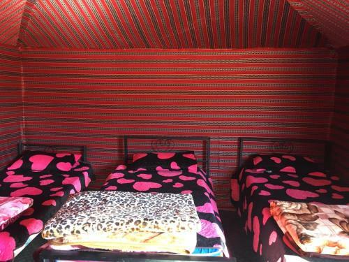 Desert Mars Camp & Tours
