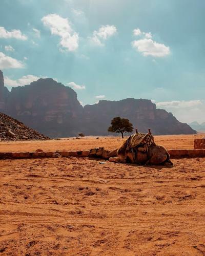 Desert Mars Camp & Tours