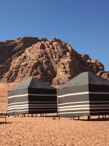 Desert Mars Camp & Tours