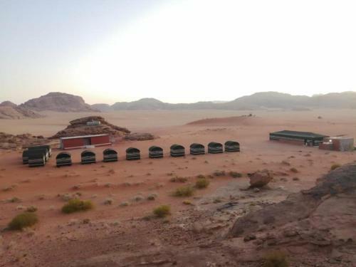 Wadi Rum Desert Adventures