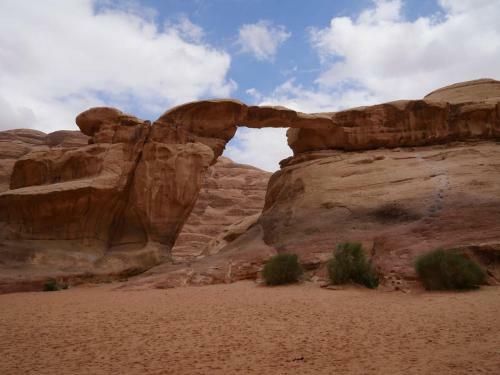 Wadi Rum Dew