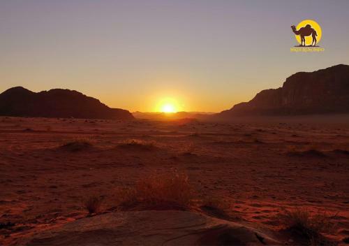 Wadi Rum Dew