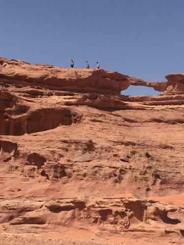 Wadi Rum Dew