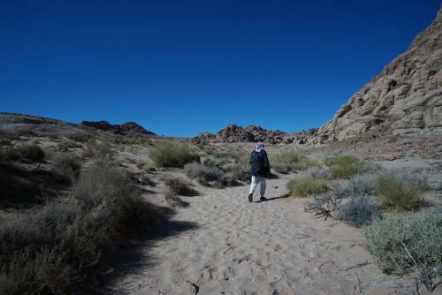 Bed & Breakfast Desert Nights Camp