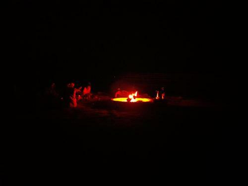 Bedouin Moon Camp&tour