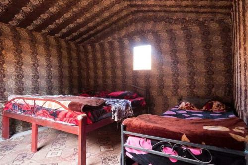 Bedouin Moon Camp&tour
