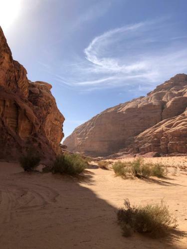 Ahlam Alenzy Camp