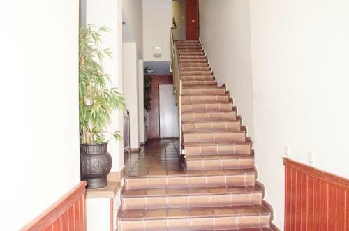 Apartamento Coral Dream