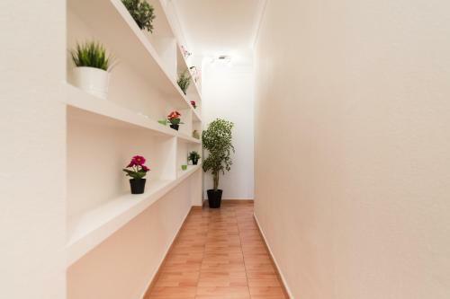 Apartamento Vivienda Miguel Rosas