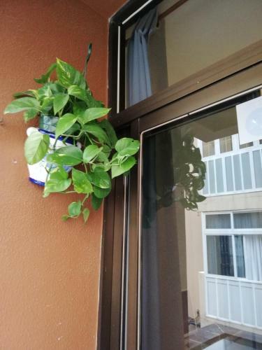 Apartamento Babelia