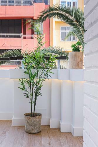 Apartamento Loft Ciudad Del Mar Gran Canaria