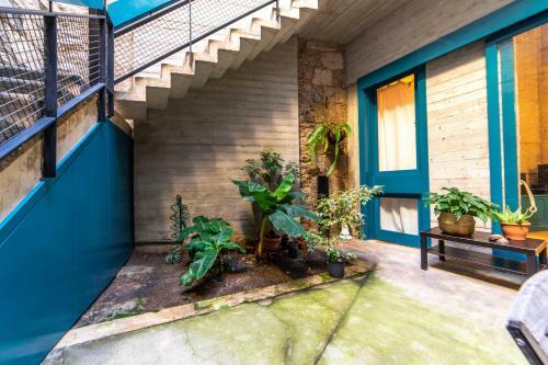Apartamento Eco-aparment Vegueta