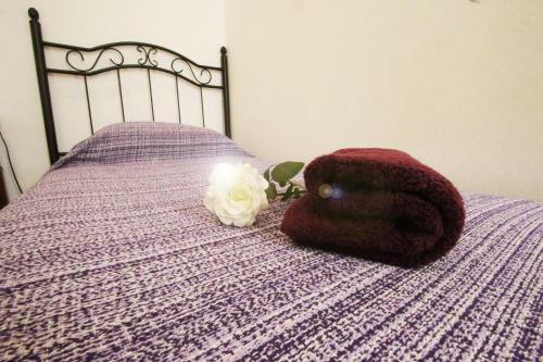 Hostal Mahalo Healthy House