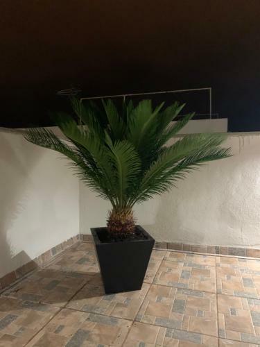 Apartamento Villa Rosaura