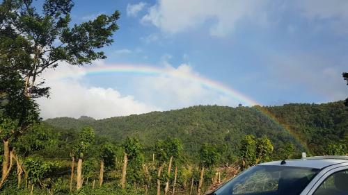 Ecolibry Glamping H�bergement Insolite